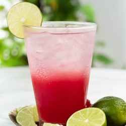 homemade vodka and pomegranate juice