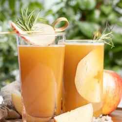 Sugar Free Apple Juice Recipe