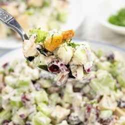 Homemade Southern Chicken Salad Recipe