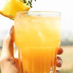 Gin and Grapefruit Juice Recipe
